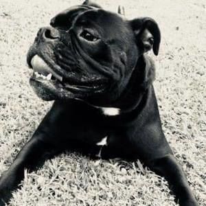 Meet your Posher, Shane